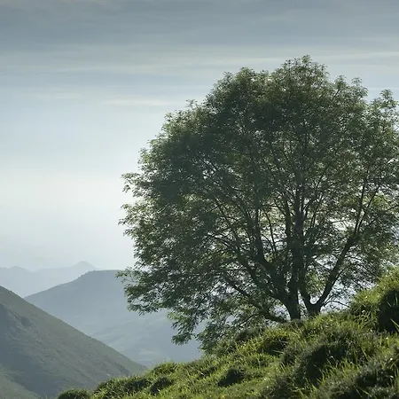 Aptos La Corona-cabrales-picos De Europa كارينا دي كابراليس