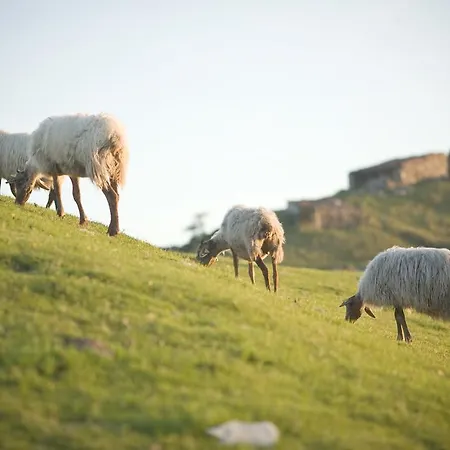 Appartement Aptos La Corona-cabrales-picos De Europa Carrena de Cabrales