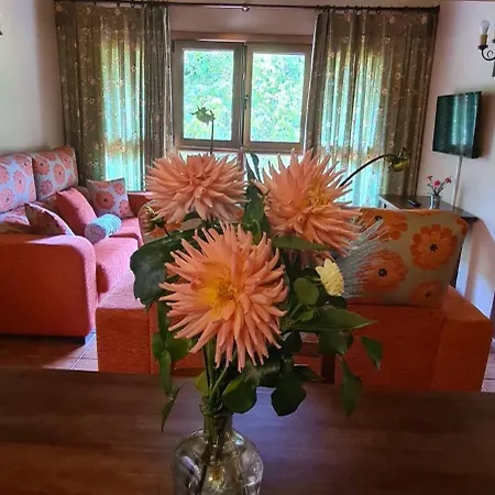 Aptos La Corona-cabrales-picos De Europa *